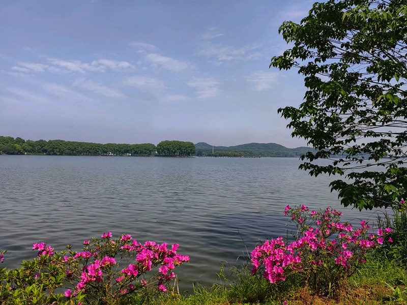 湖北在东湖之滨宣传第十届“世界野生动植物日”