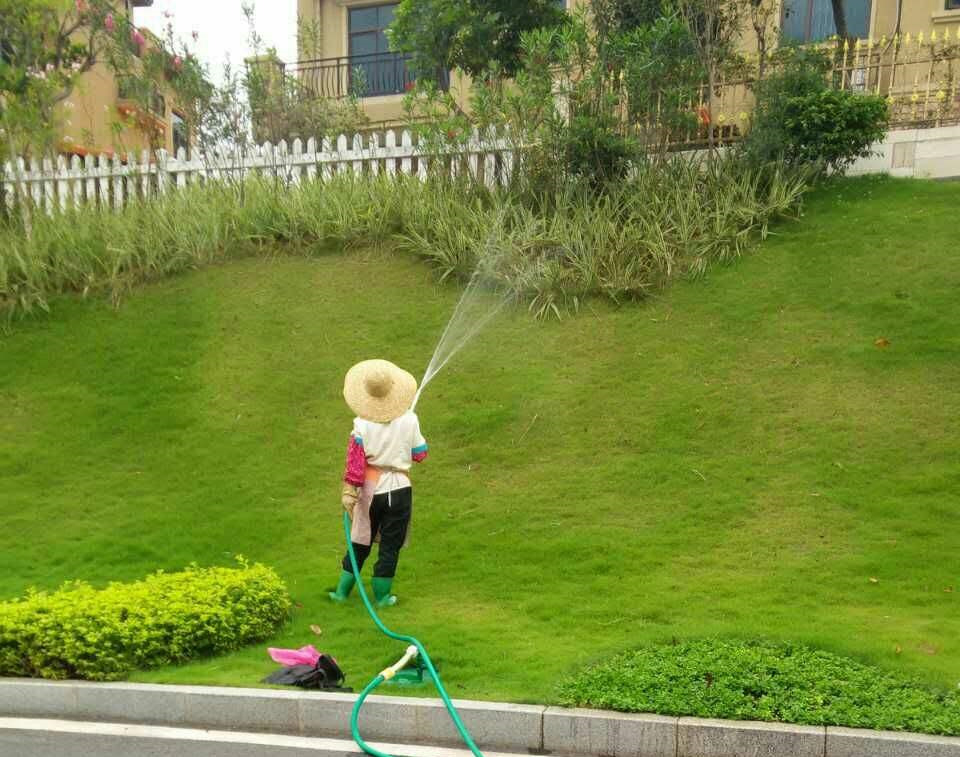 绿化浇水