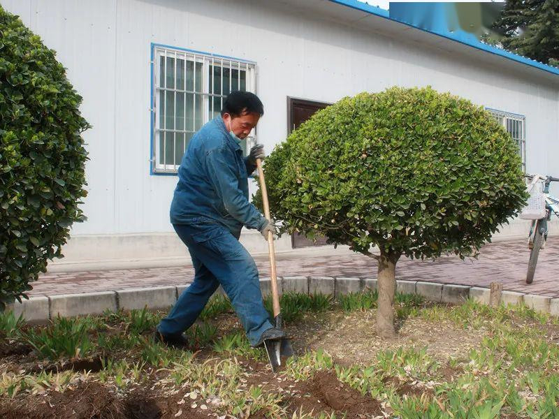 土地平整改造