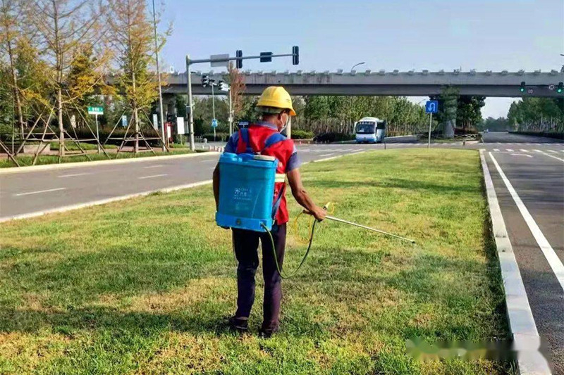 病虫害清理